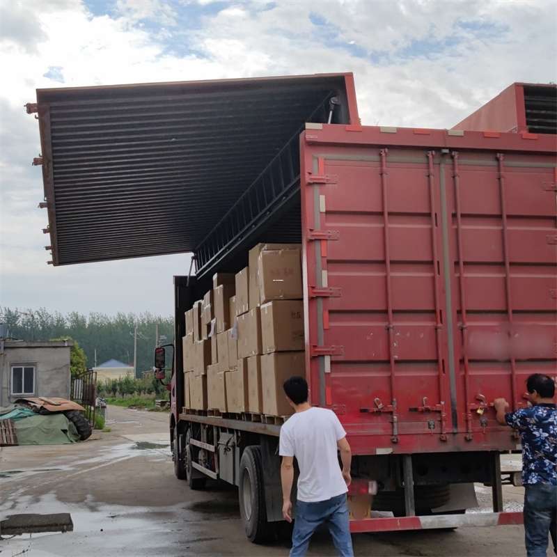林口县扎囊县：物流专线的高效货运之旅
